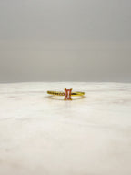 Michelle Ring