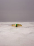 Michelle Ring