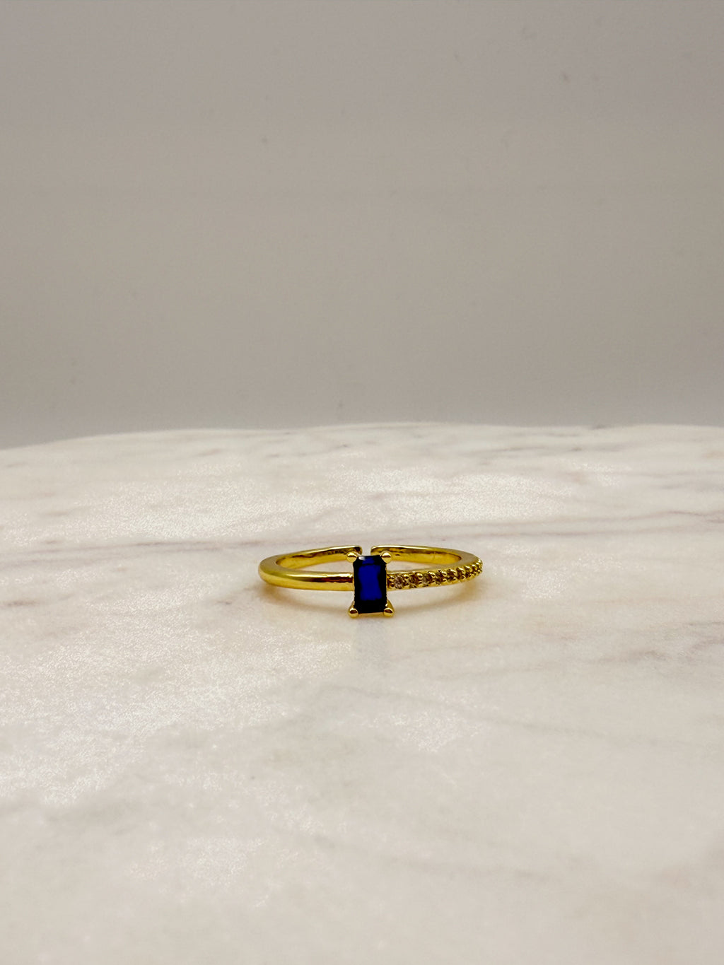 Michelle Ring