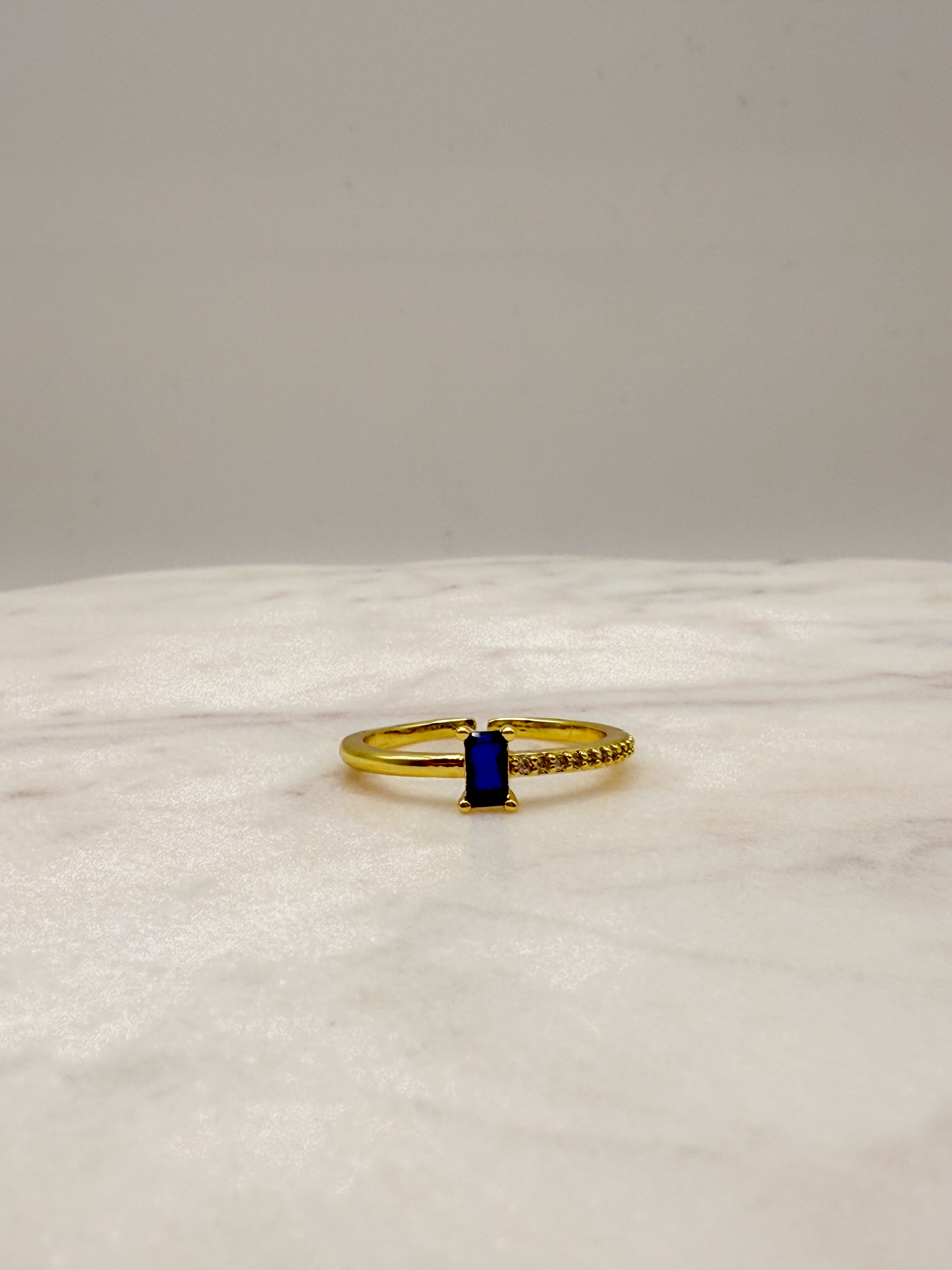 Michelle Ring