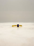 Michelle Ring