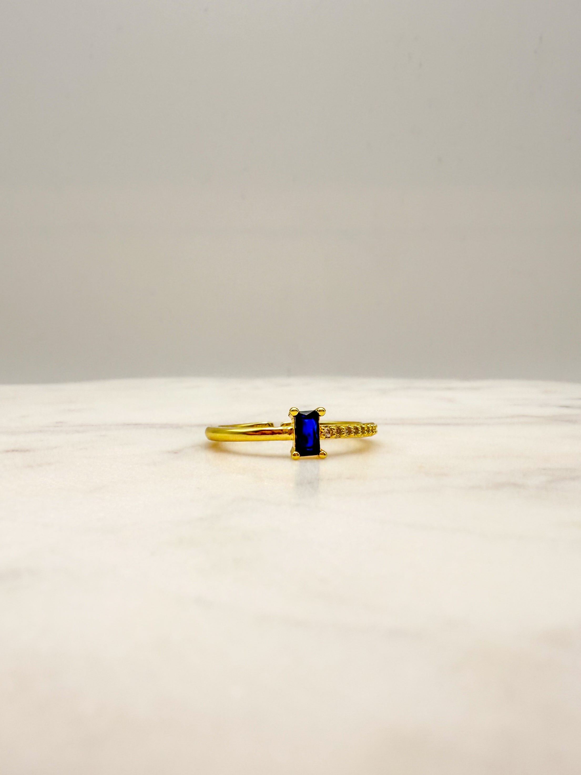 Michelle Ring